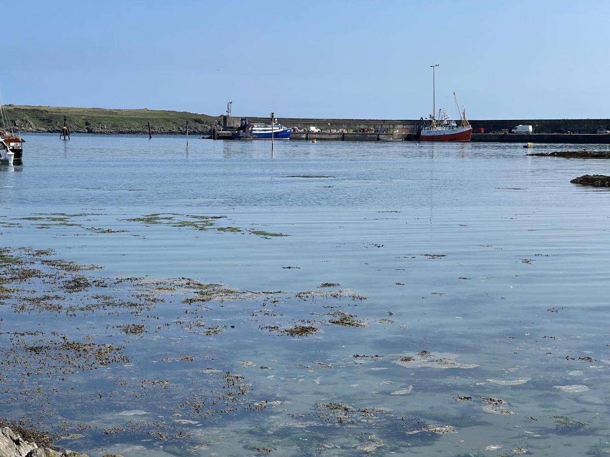 Lovely Apartment Overlooking The Harbour And Bay Ardglass Buitenkant foto