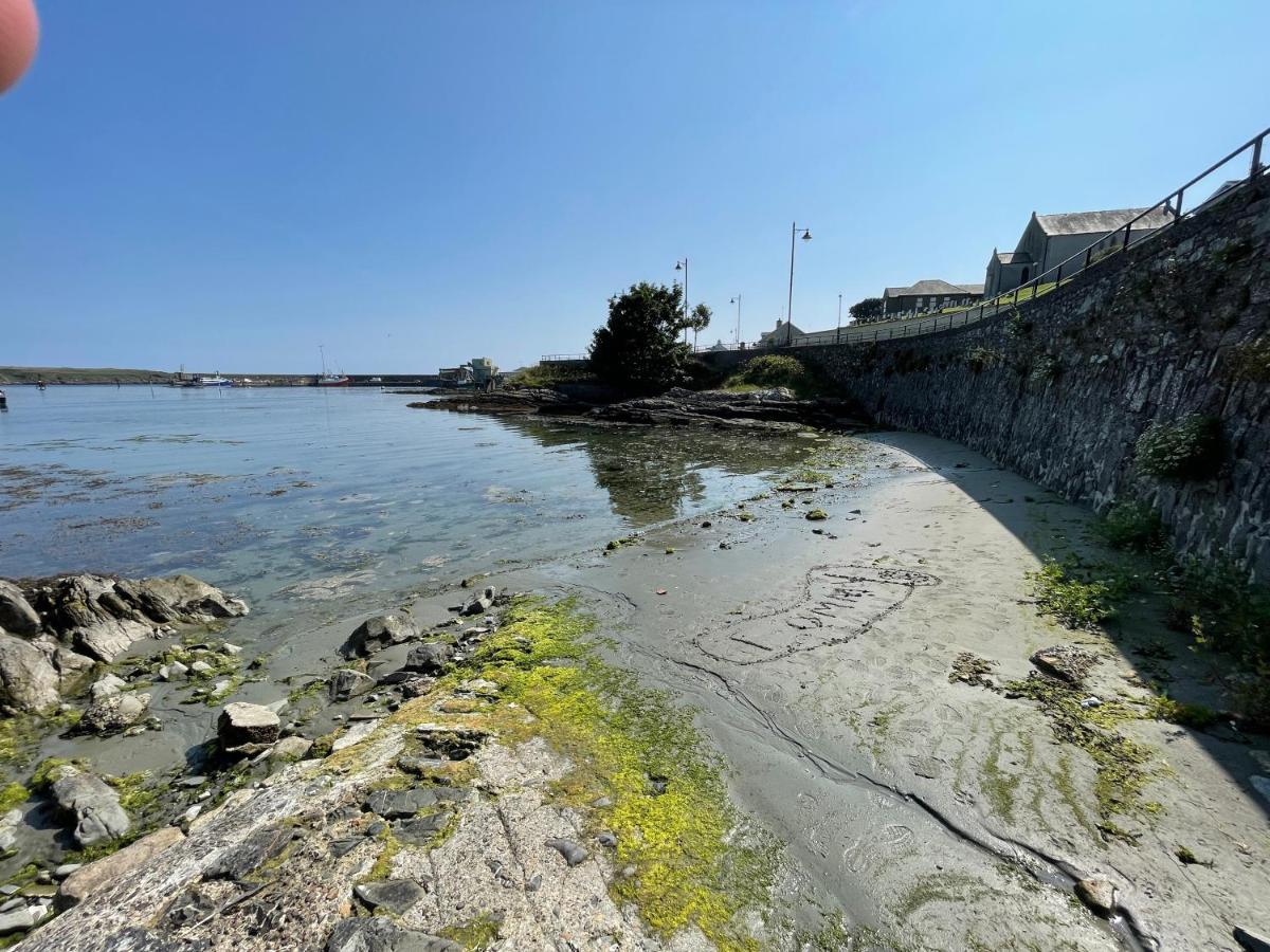 Lovely Apartment Overlooking The Harbour And Bay Ardglass Buitenkant foto